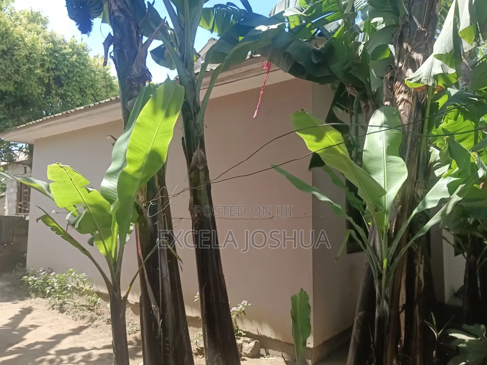 3bdrm House in Excela Joshua, Sekei for sale