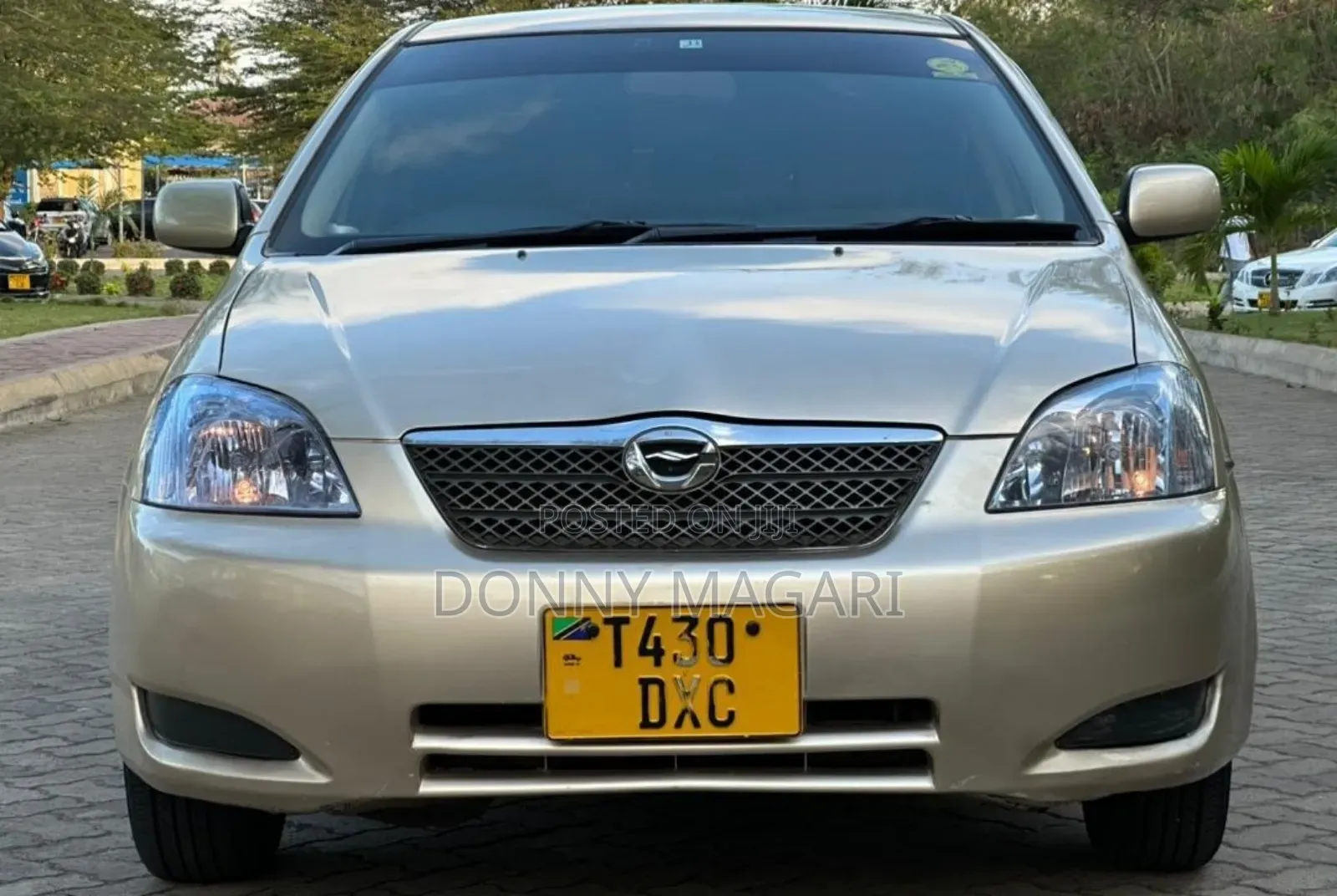 Toyota Corolla RunX 2004 Gold