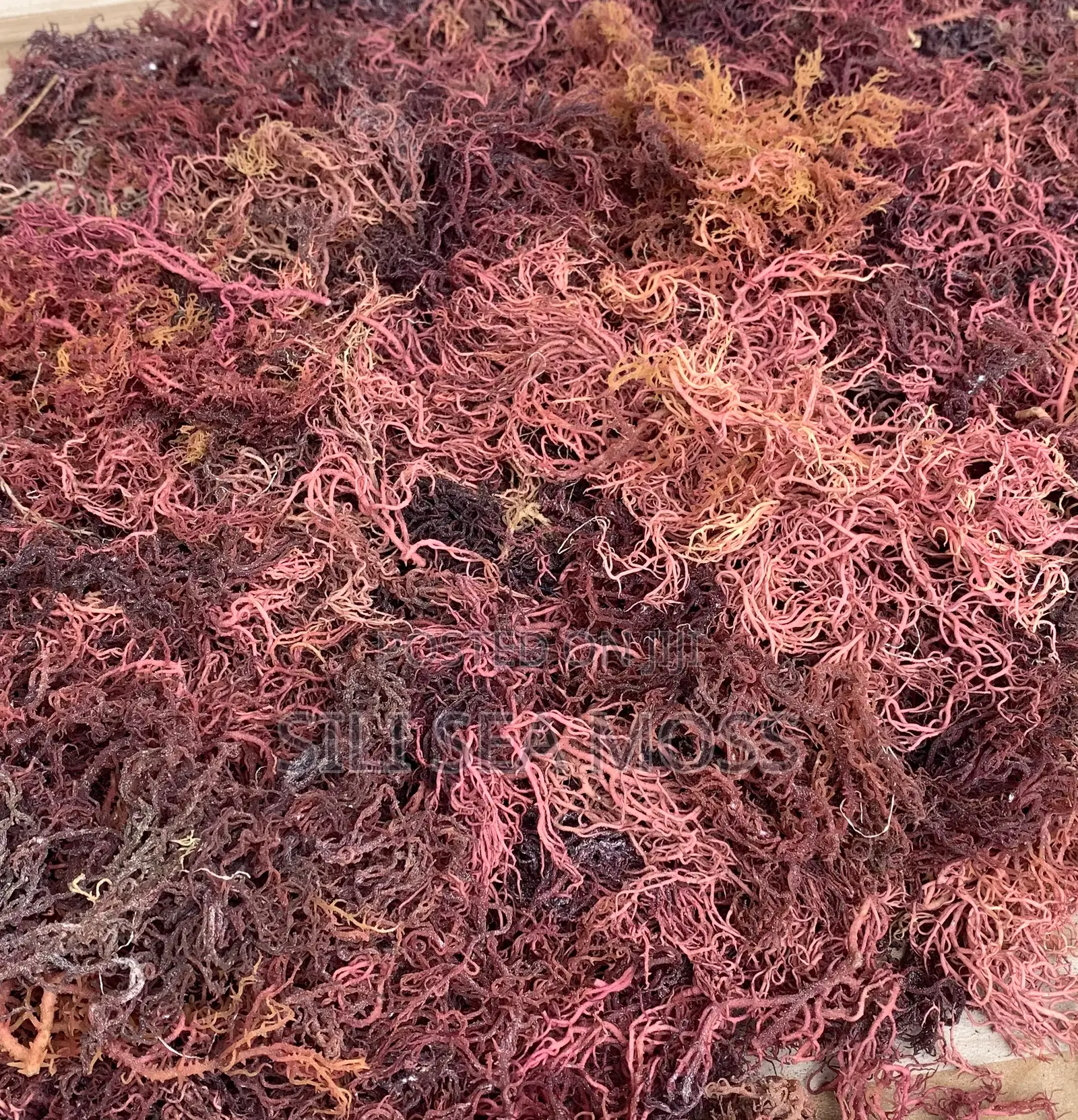 Sea Moss (Mwani)