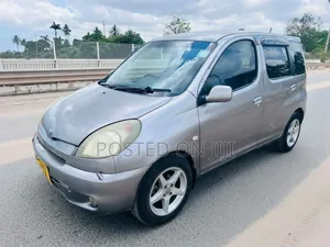 Toyota Fun Cargo 2004 Gray