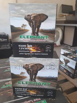 Elephant Battery Delivery Nchi Nzima