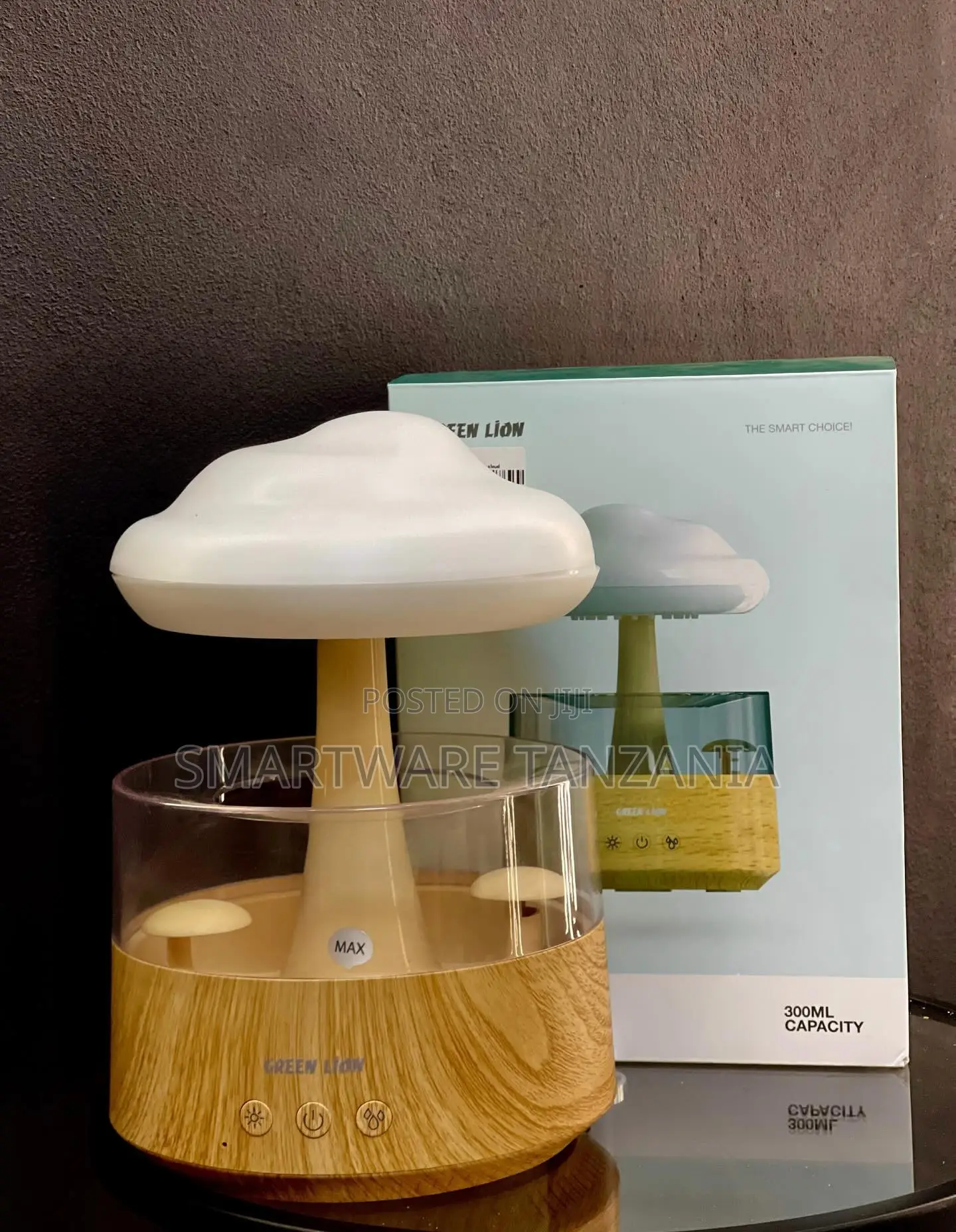 Green Lion 300ml Rain Cloud Humidifier With Soothing Rain Sounds