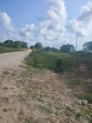 Farm for Sale at Kigamboni Kichangani