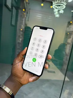 New Apple iPhone 13 Pro Max 256 GB Blue