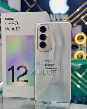 New Oppo Reno 12 5G 256 GB Silver