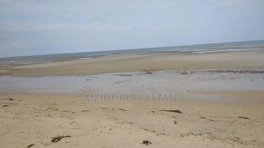 40 Acres Prime Beachfront for Sale in Mkwaja - Pangani,Tanga