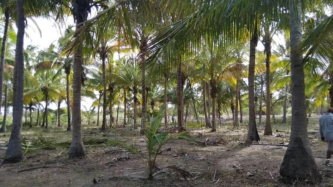 40 Acres Prime Beachfront for Sale in Mkwaja - Pangani,Tanga