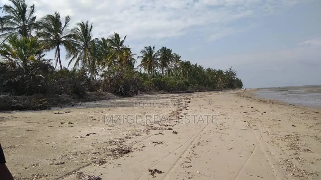 40 Acres Prime Beachfront for Sale in Mkwaja - Pangani,Tanga