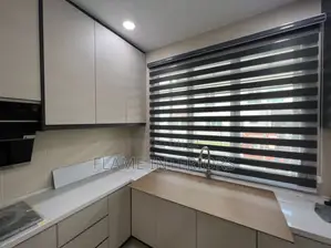 Zebra Blind Curtains