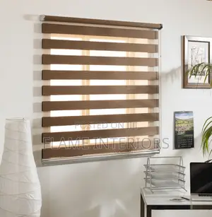 Zebra Blind Curtains