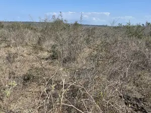 Shamba Linauzwa Kiwangwa Bago
