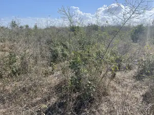 Shamba Linauzwa Kiwangwa Bago
