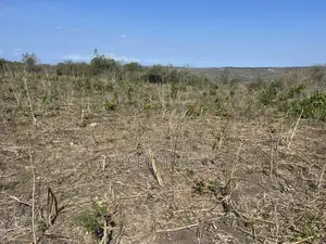 Shamba Linauzwa Kiwangwa Bago