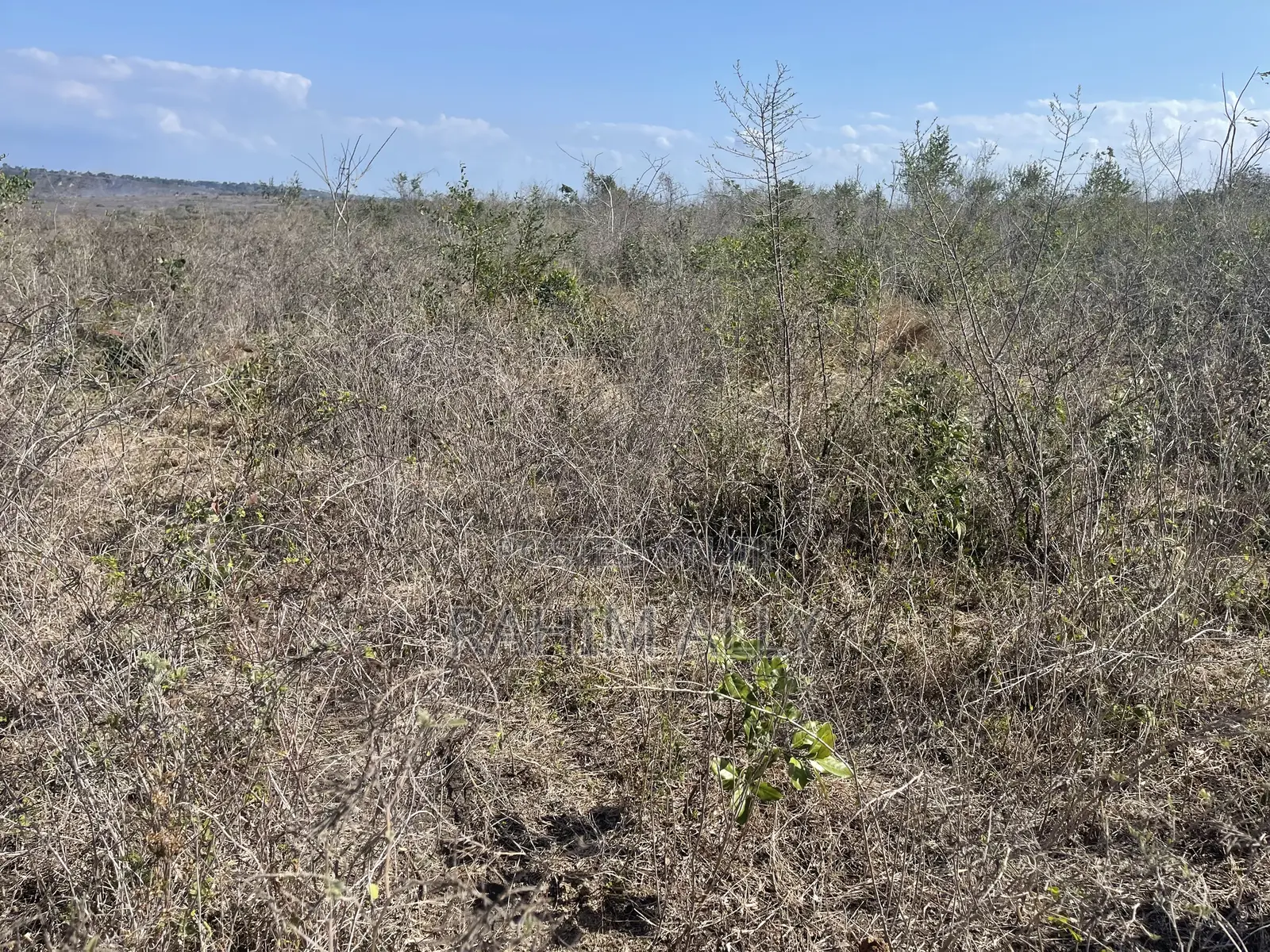 Shamba Linauzwa Kiwangwa Bago