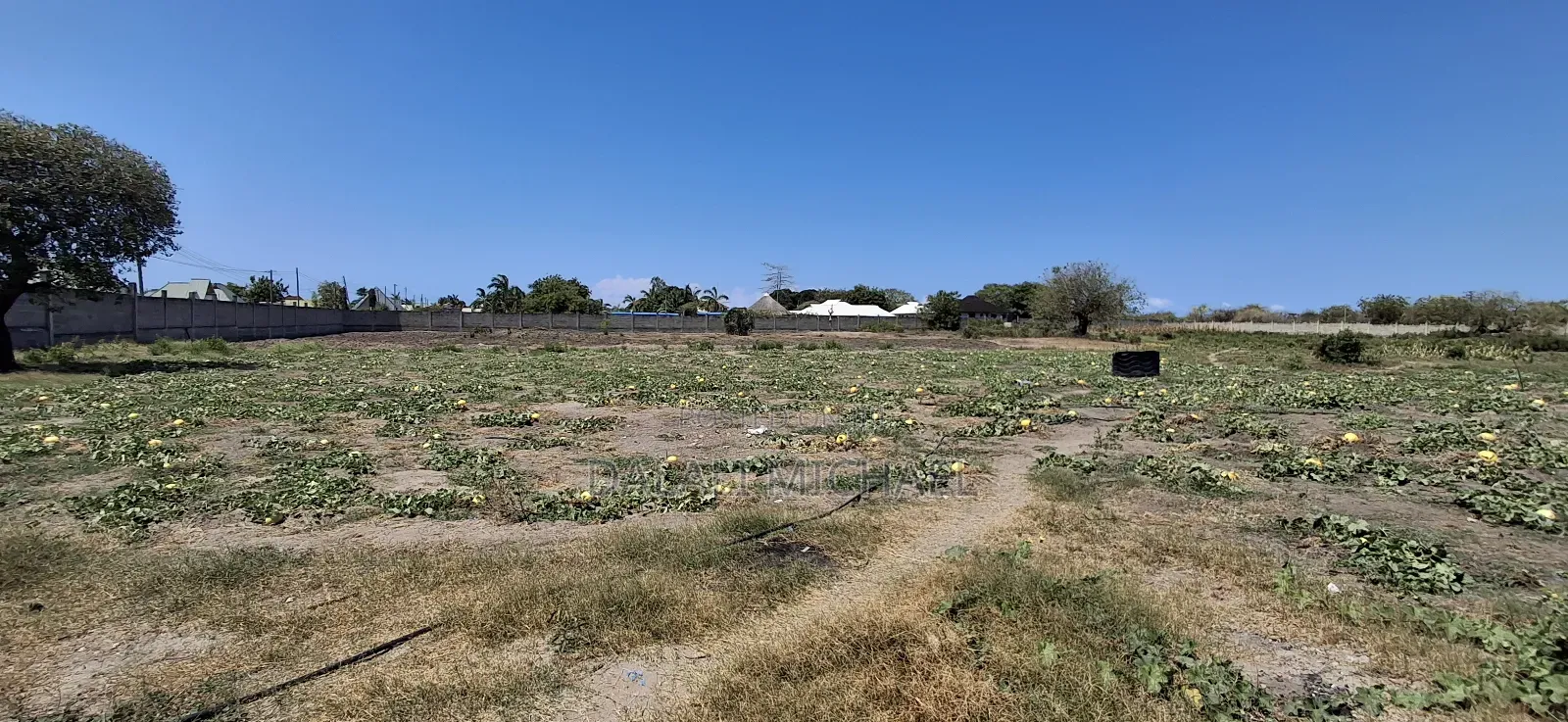 Property for Sale Mbweni