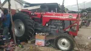 Massey Furgeson 165