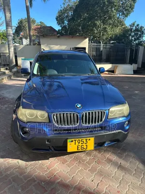 BMW X3 2.0D Activity 2007 Blue