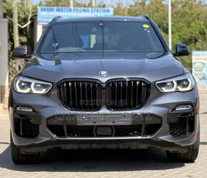 BMW X5 2022 Gray