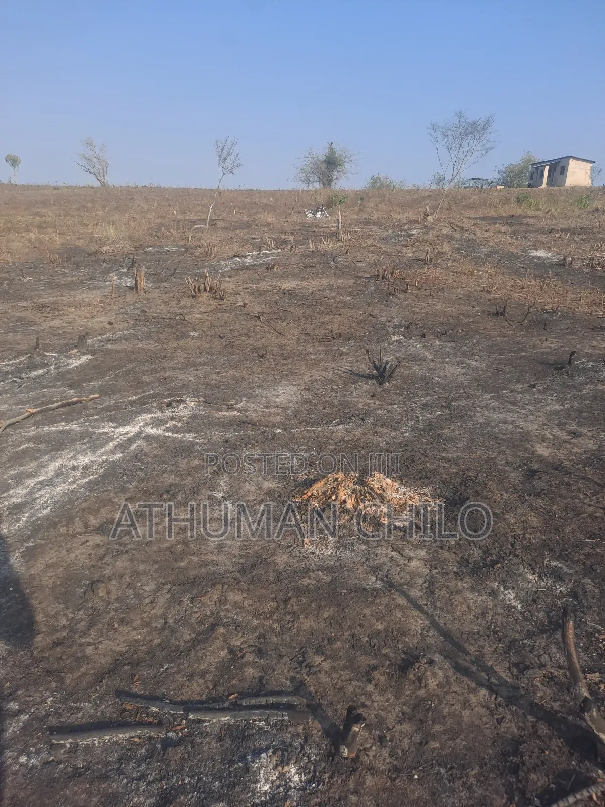 Shamba Linauzwa Kiwangwa Bagamoyo Pwani Bei Sh Laki Tisa