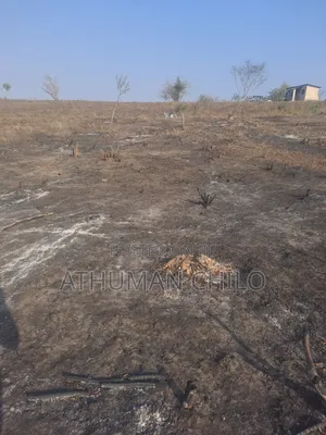 Shamba Linauzwa Kiwangwa Bagamoyo Pwani Bei Sh Laki Tisa