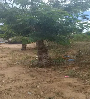 Plot for Sale Salasala Iptl