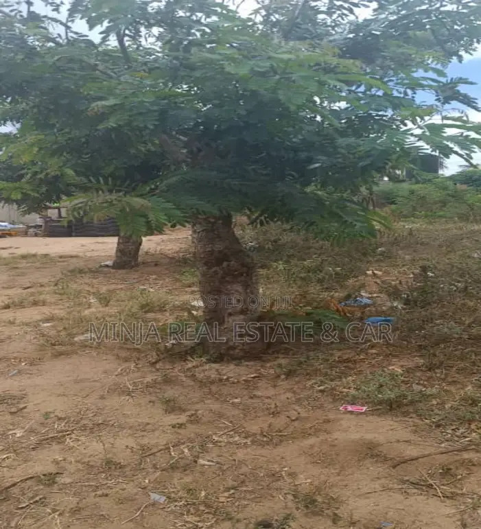 Plot for Sale Salasala Iptl