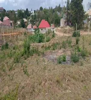 Plot for Sale Madale Container