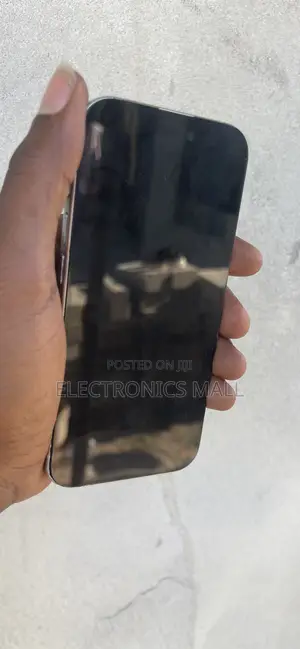 iPhone Maintanace