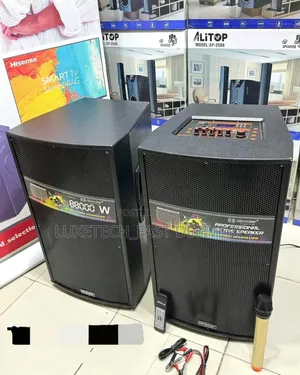 Aborder 12" Professional Speaker 88000w Double With Wireless Mic