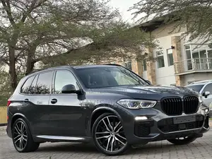 BMW X5 2022 Gray
