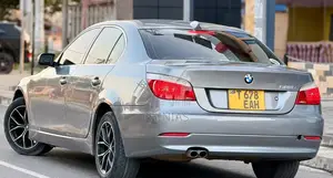 BMW 5 Series 2011 Gray