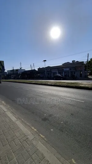 Frem at Sinza Mugabe We Look Main Road