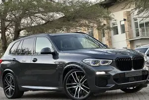 BMW X5 2023 Gray