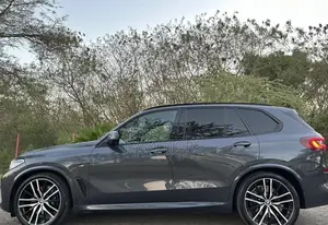 BMW X5 2023 Gray