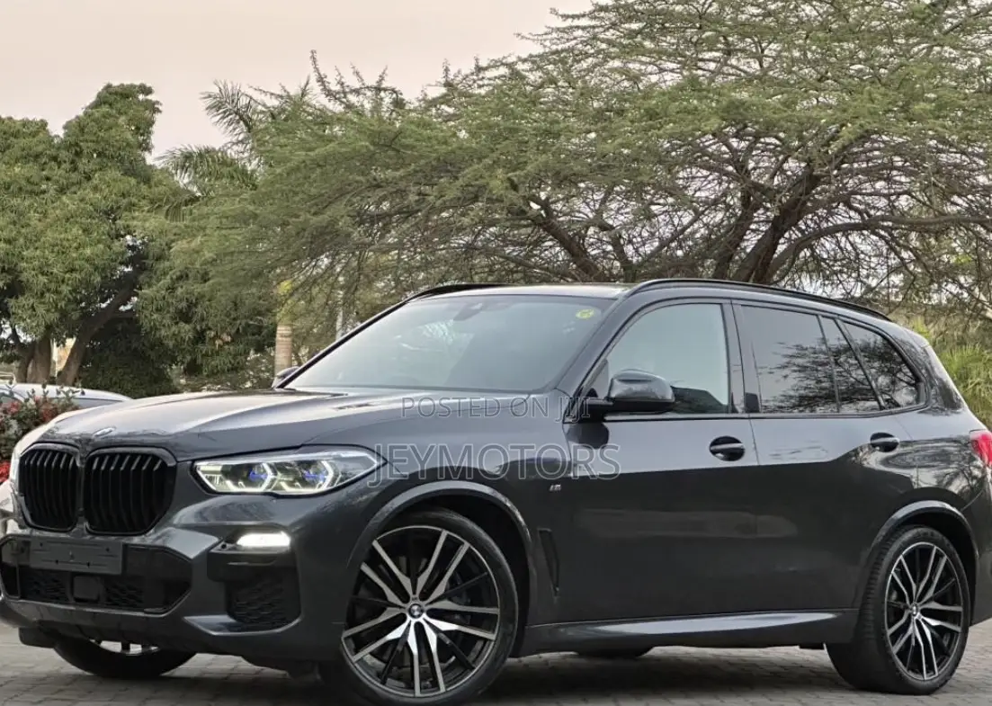 BMW X5 2023 Gray
