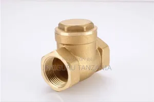 Non-Return Valve