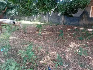Kiwanja Kinauzwa Na Bank Na Mwenyewe Ameridhi, Kiko Bunju B
