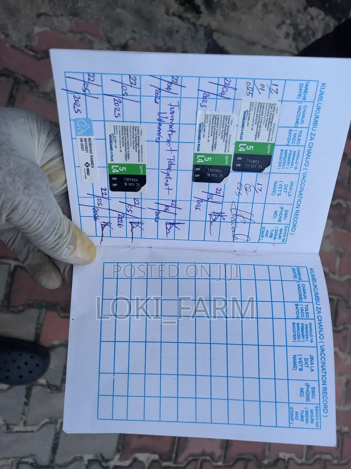 Pets Ambulatory Services( Mobile Veterinary Service )