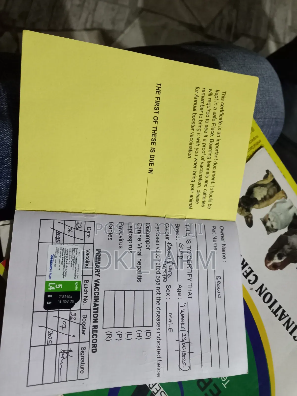 Pets Ambulatory Services( Mobile Veterinary Service )