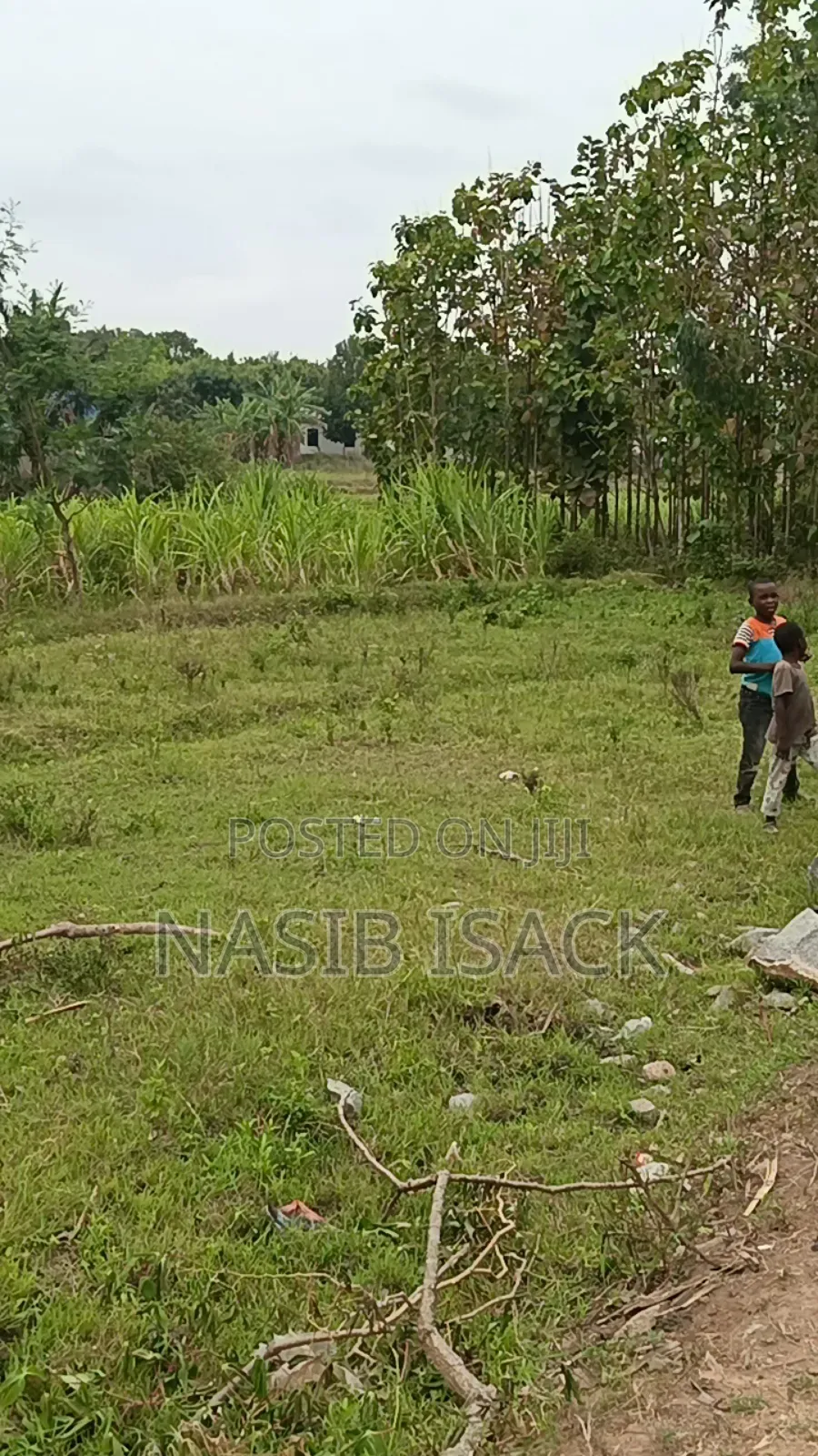 Prot for Sale, Mwanza Mkolan