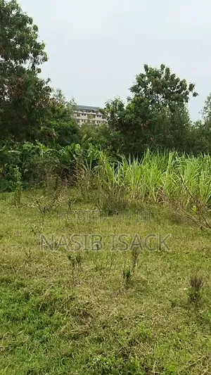 Prot for Sale, Mwanza Mkolan