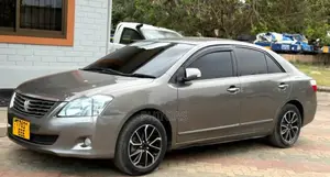 Toyota Premio 2009 Gray
