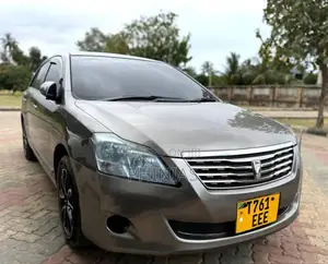 Toyota Premio 2009 Gray