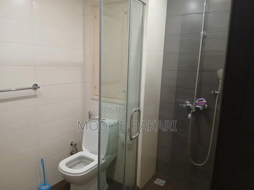 Furnished 3bdrm Apartment in Mikocheni for rent