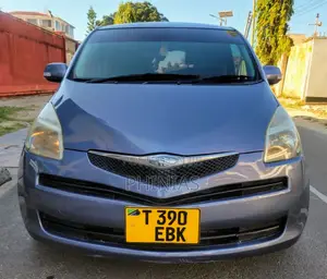 Toyota Ractis 2005 Gray