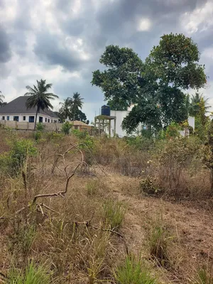 Plot for Sale at Mbezi Msumi