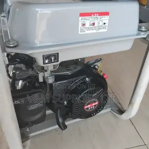 Gasoline Water Pump