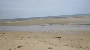 40 Acres of Beach Plot for Sale Mkwaja Pangani Tanga.