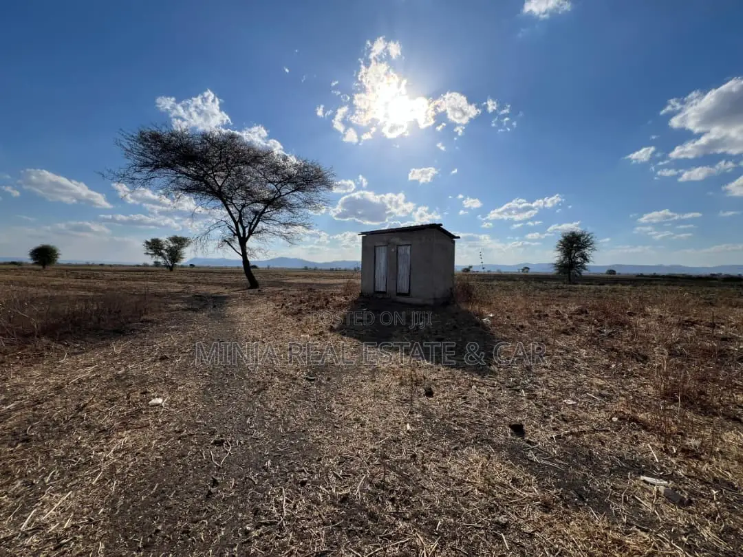 Farm for Sale With Fertile Black Soil in Manyara