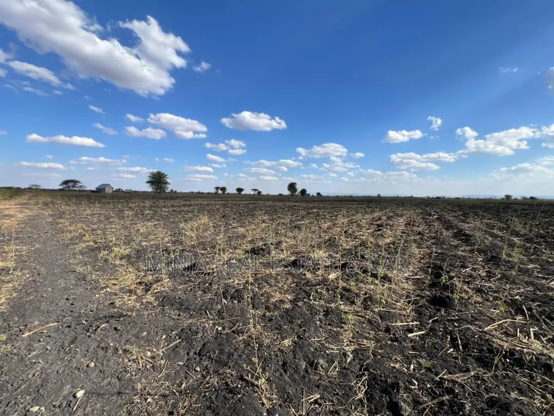 Farm for Sale With Fertile Black Soil in Manyara